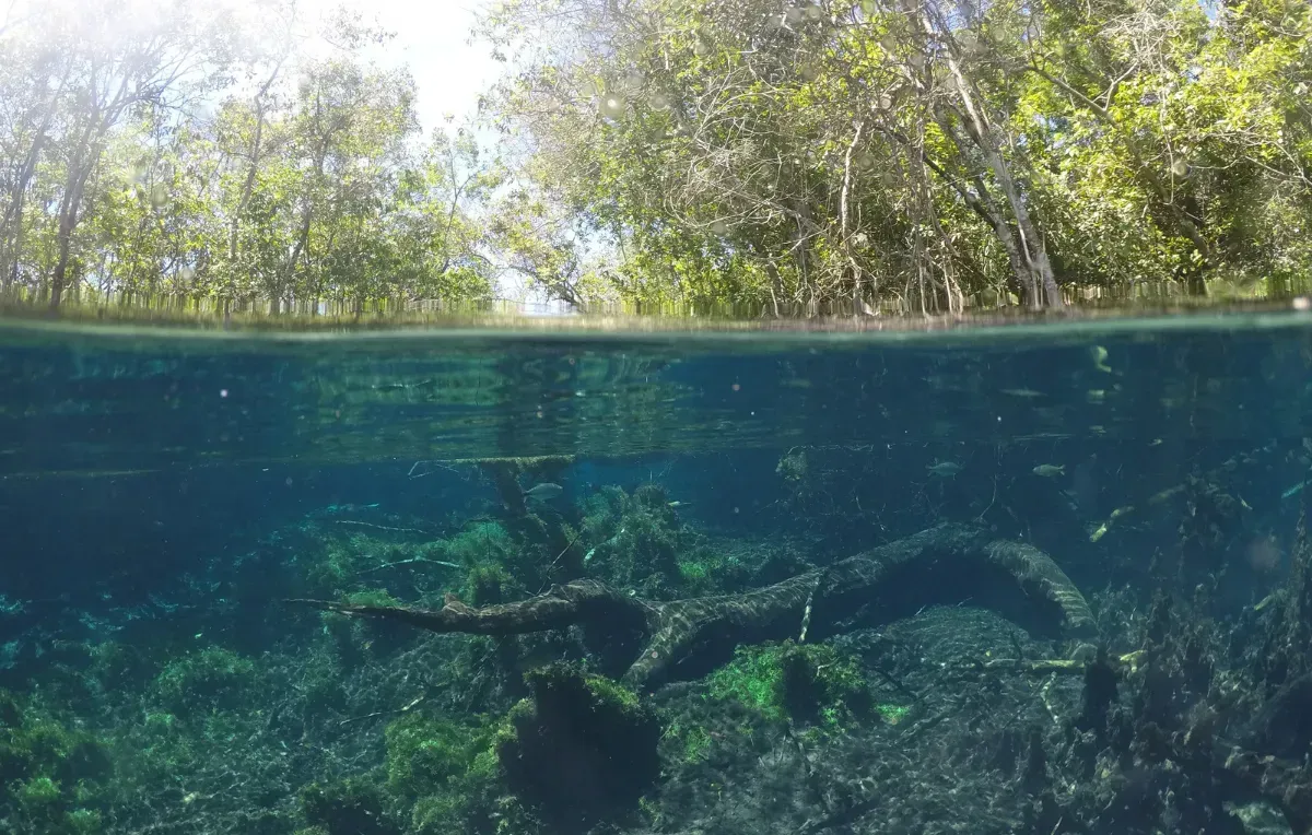 Imagem da galeria de Bonito